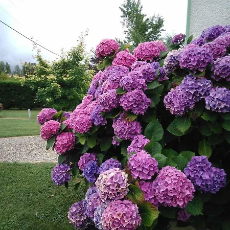 Maison A La Campagne 別荘 *